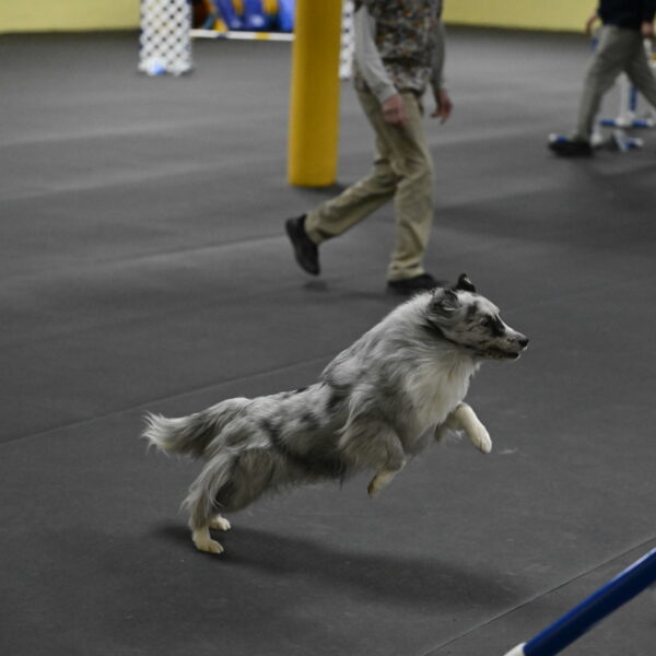 Dulci-Weinrich-08427