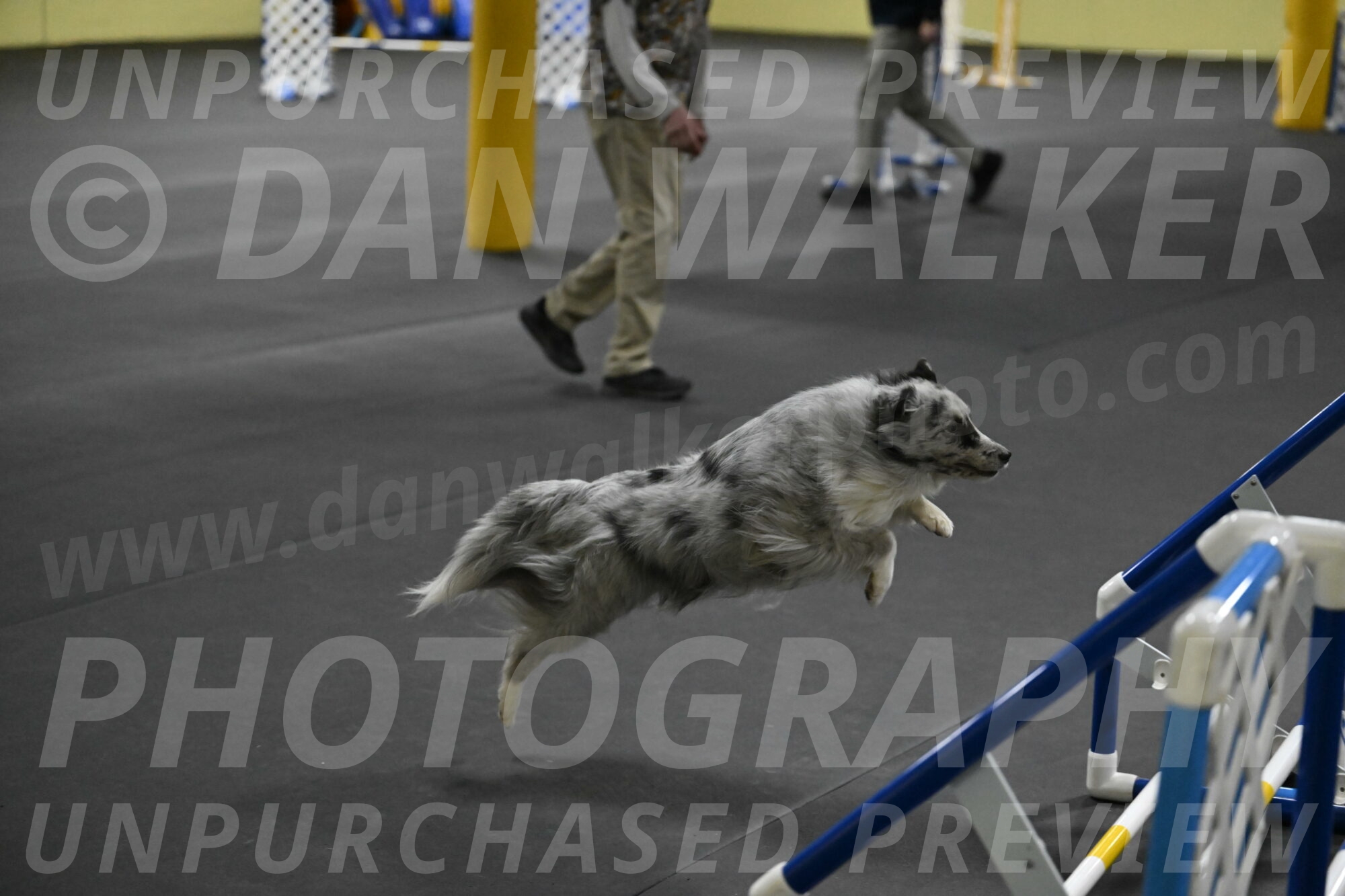 Dulci-Weinrich-08428