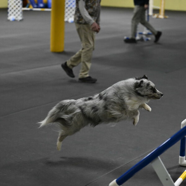 Dulci-Weinrich-08428