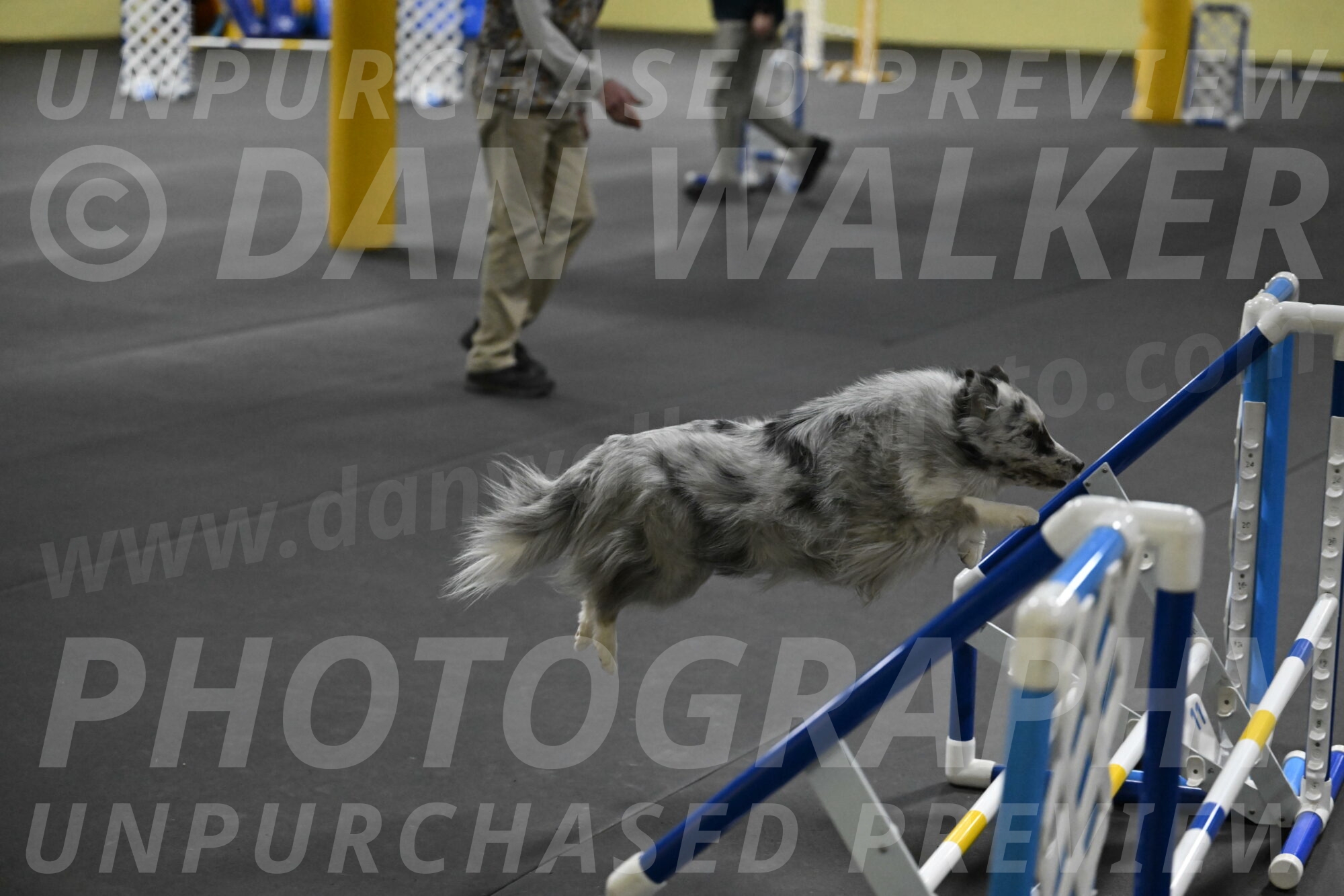 Dulci-Weinrich-08429