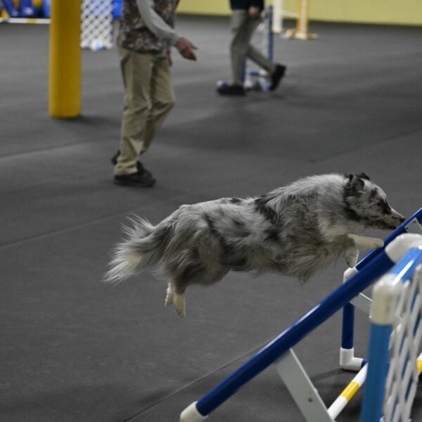 Dulci-Weinrich-08429