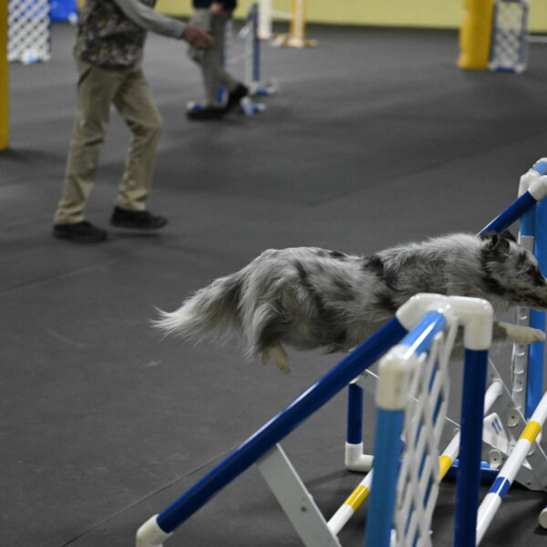 Dulci-Weinrich-08430