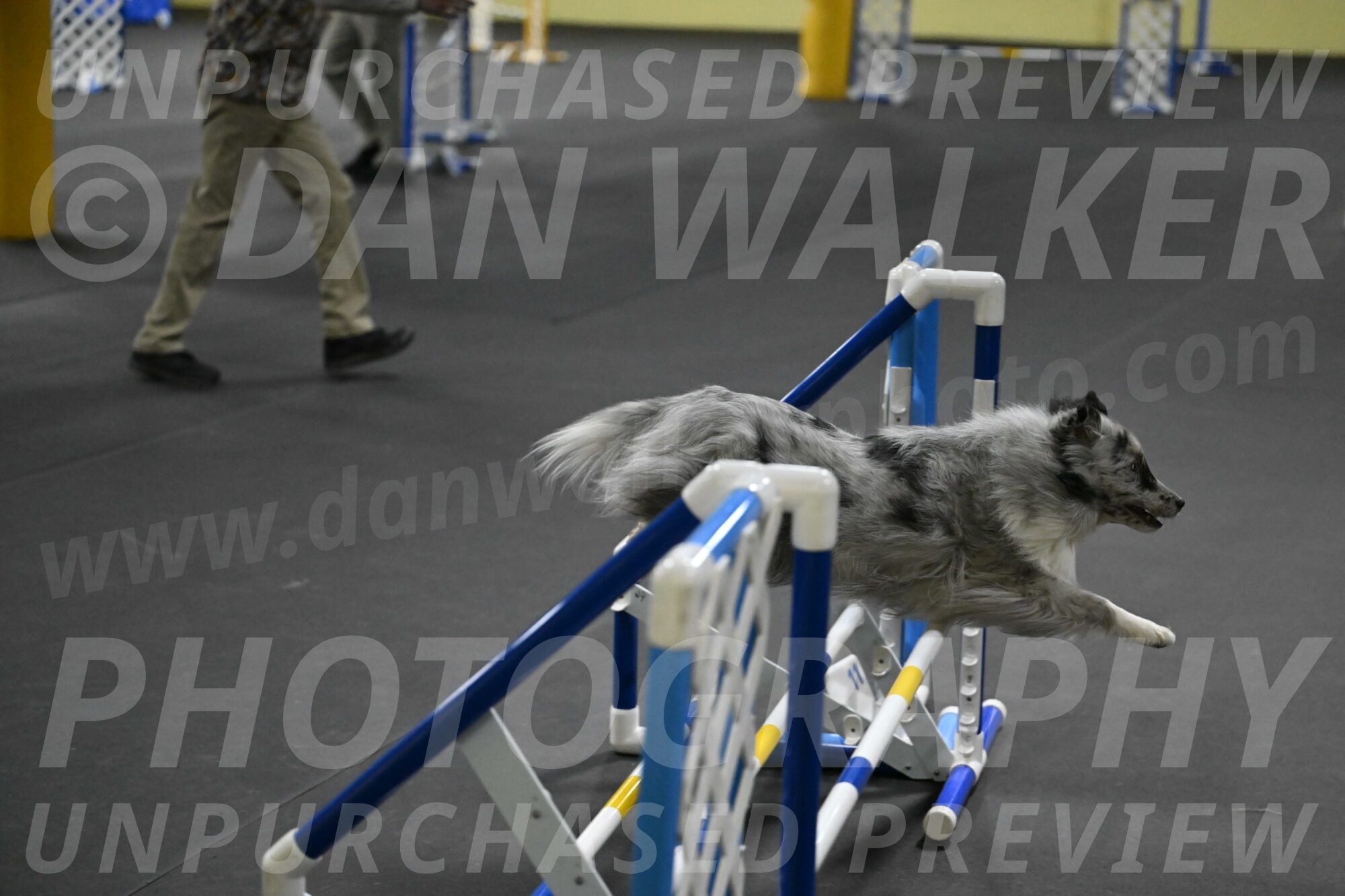 Dulci-Weinrich-08431