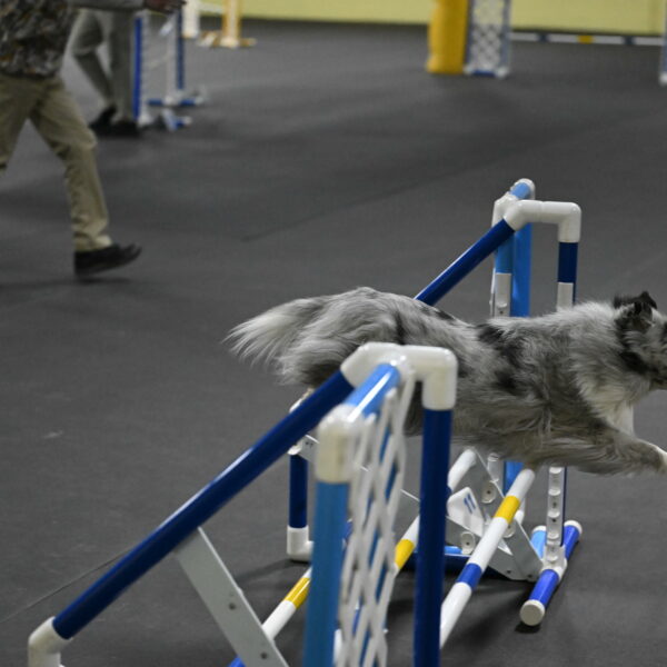 Dulci-Weinrich-08431