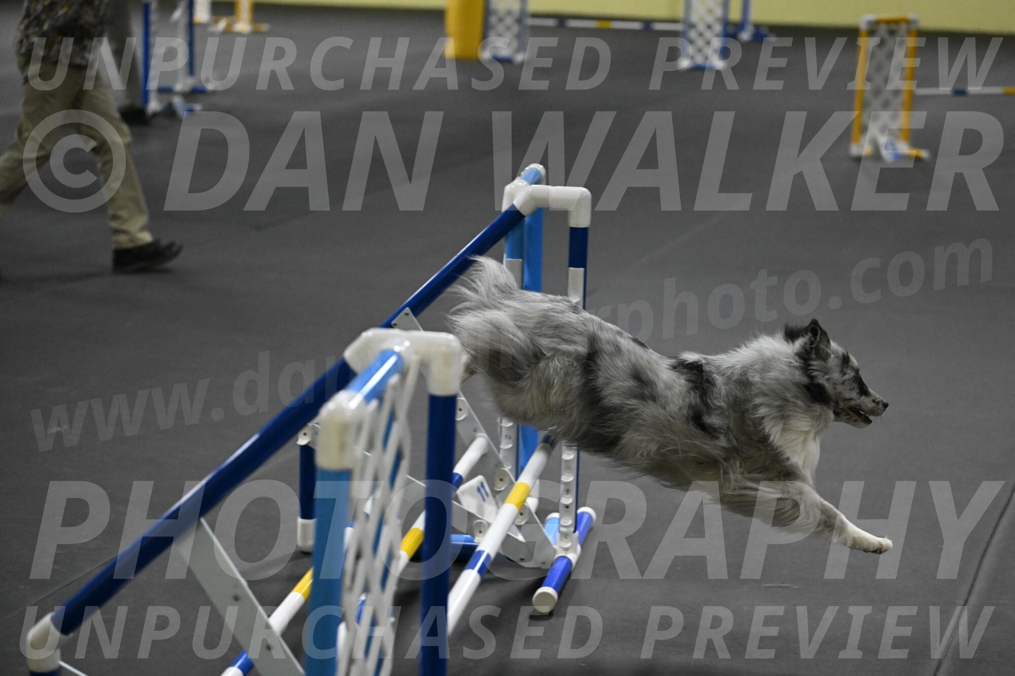 Dulci-Weinrich-08432