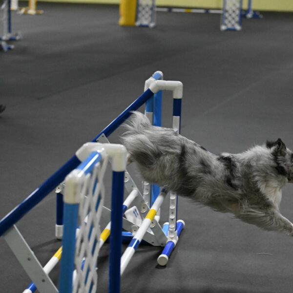 Dulci-Weinrich-08432