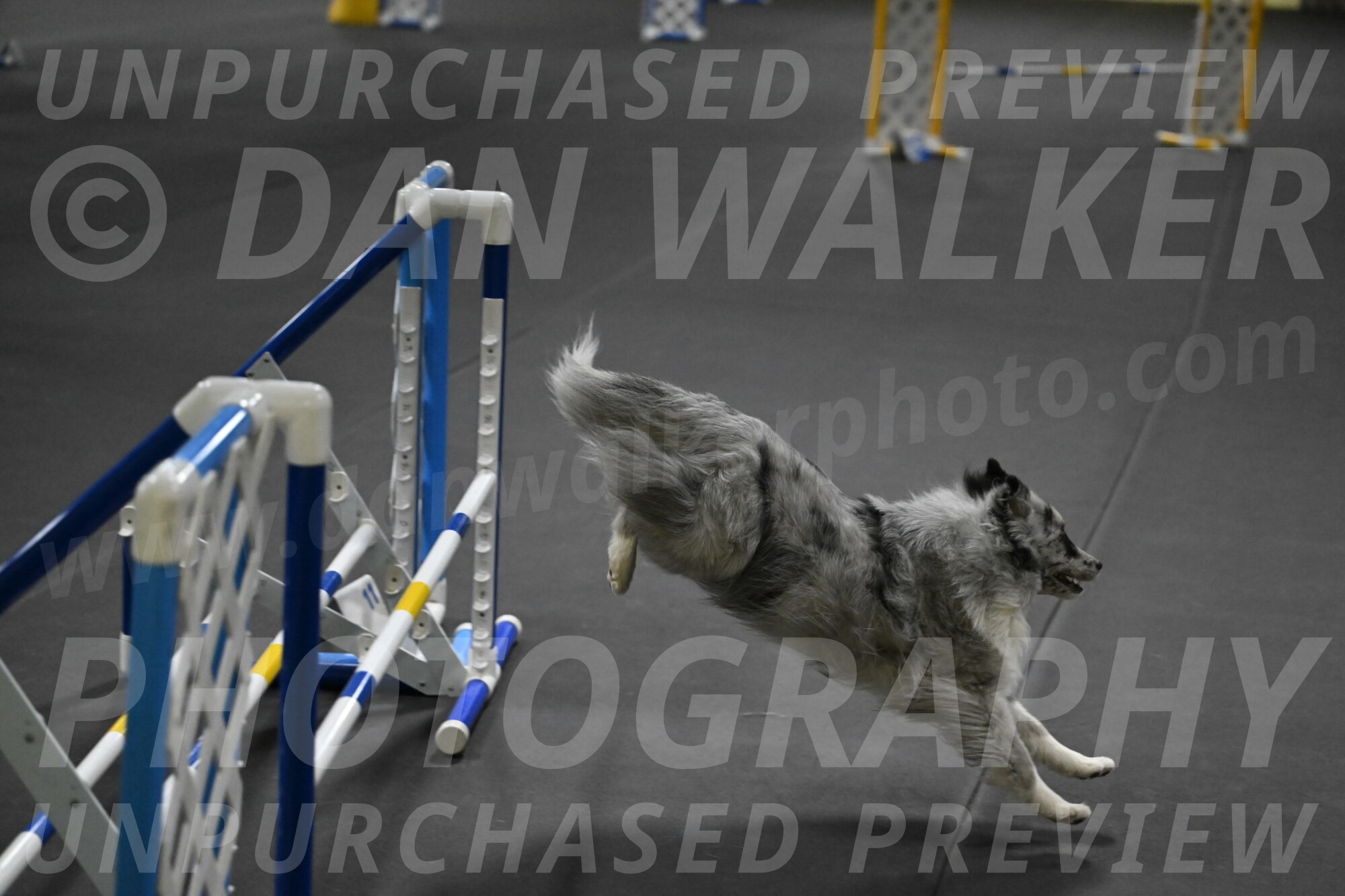 Dulci-Weinrich-08433