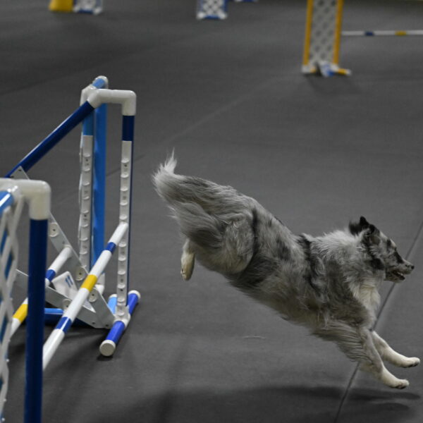 Dulci-Weinrich-08433