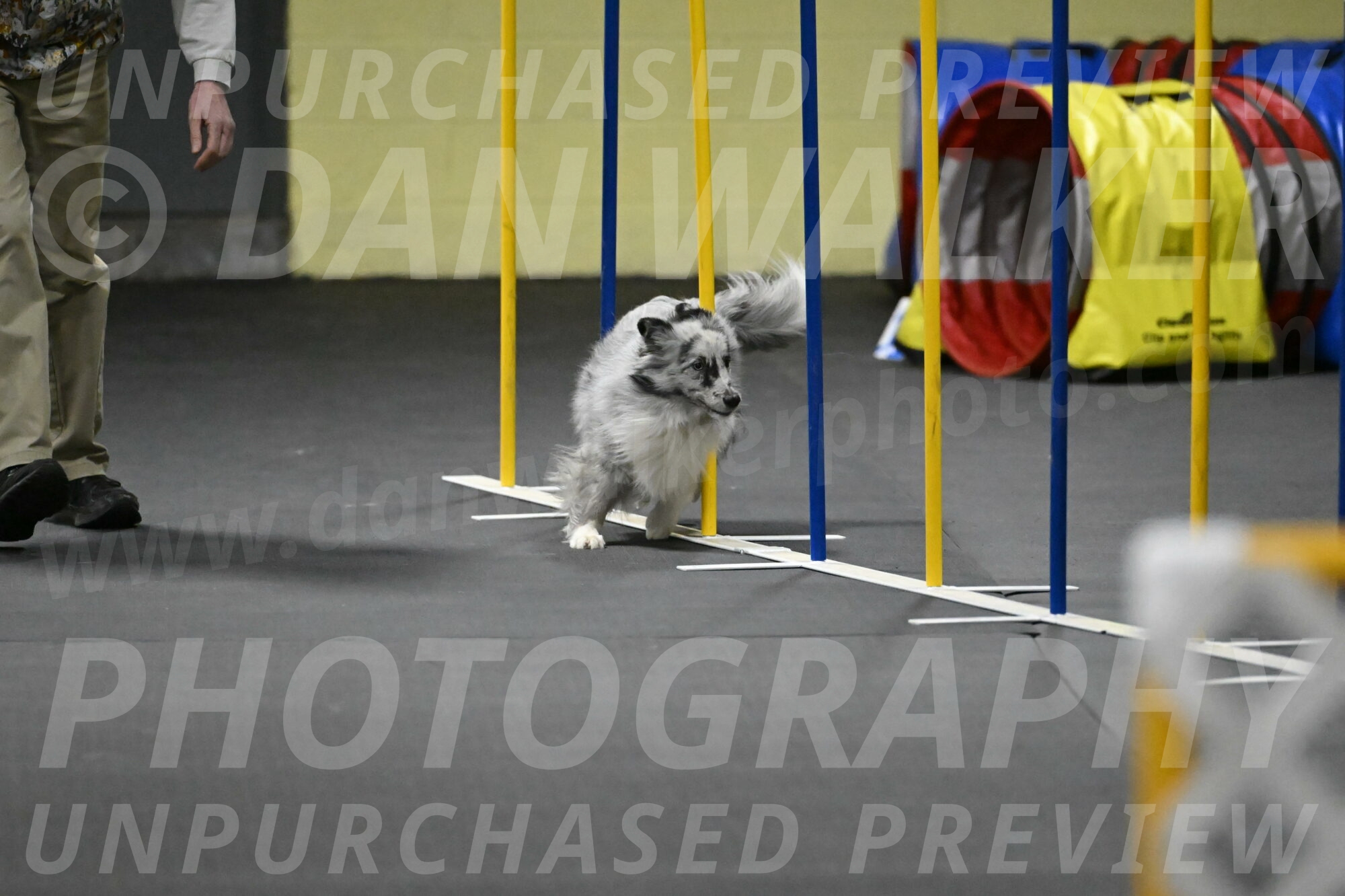 Dulci-Weinrich-08435