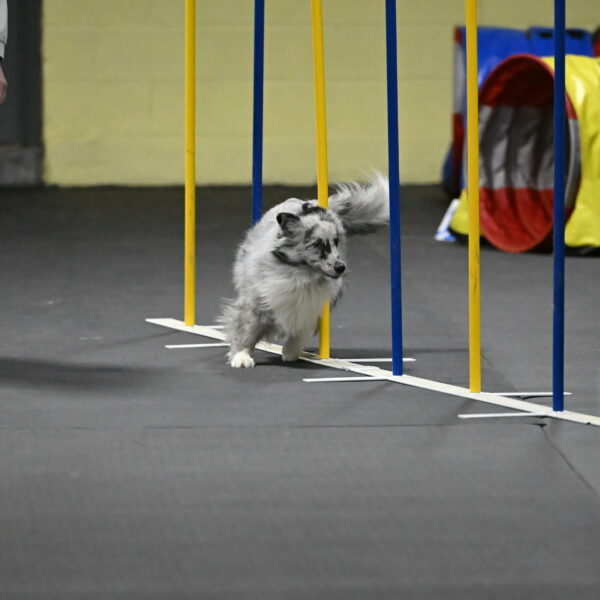 Dulci-Weinrich-08435