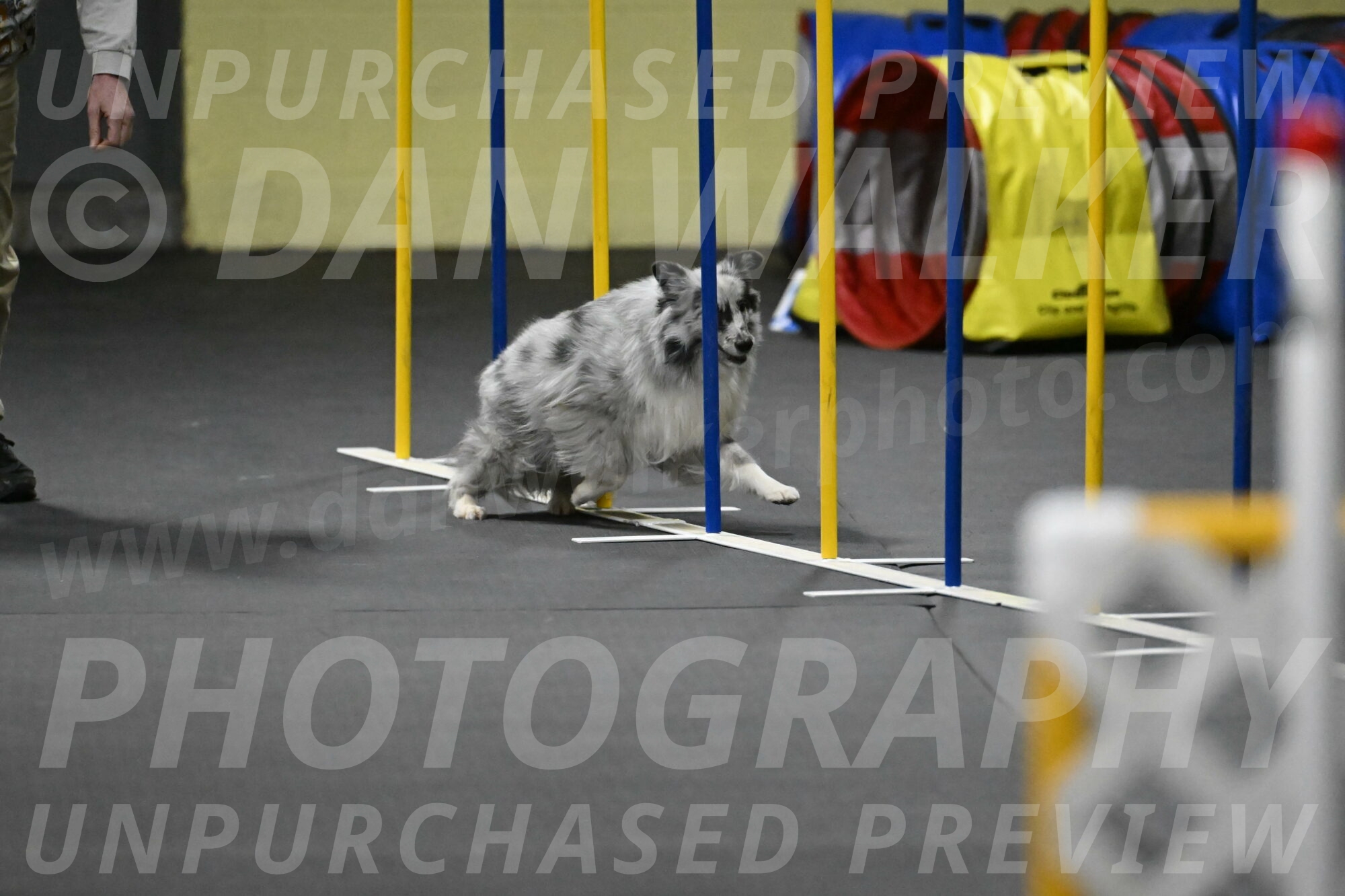 Dulci-Weinrich-08436