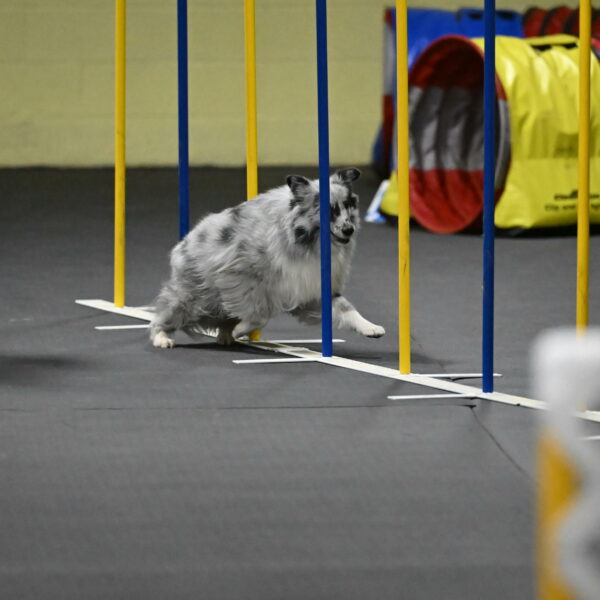 Dulci-Weinrich-08436