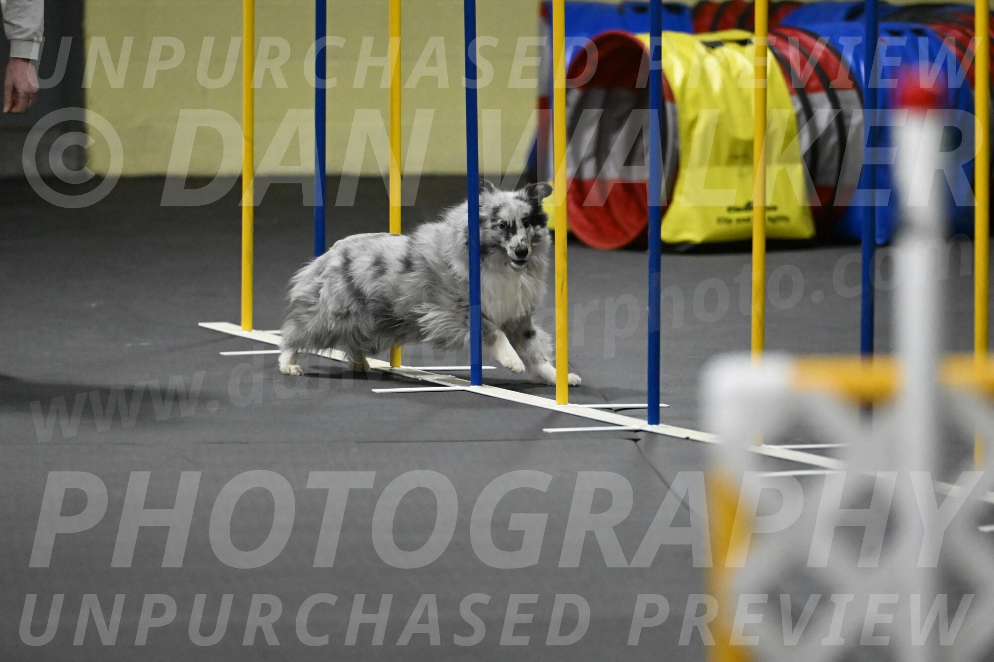 Dulci-Weinrich-08437