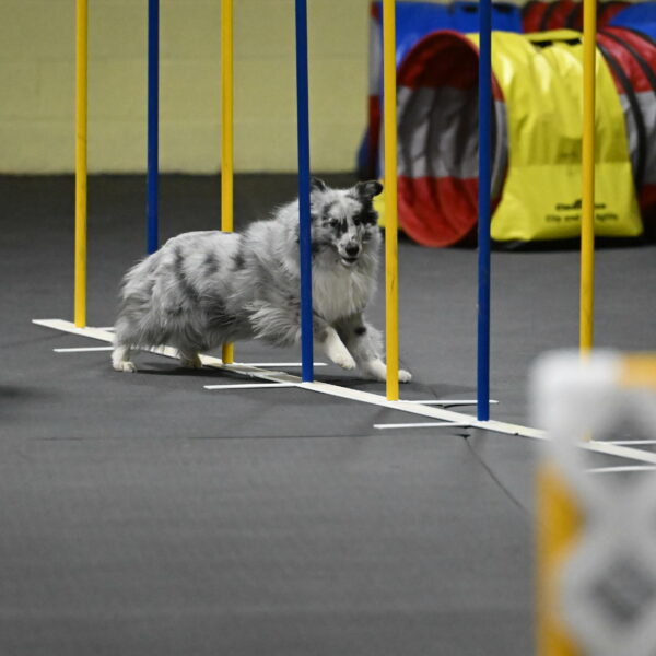 Dulci-Weinrich-08437