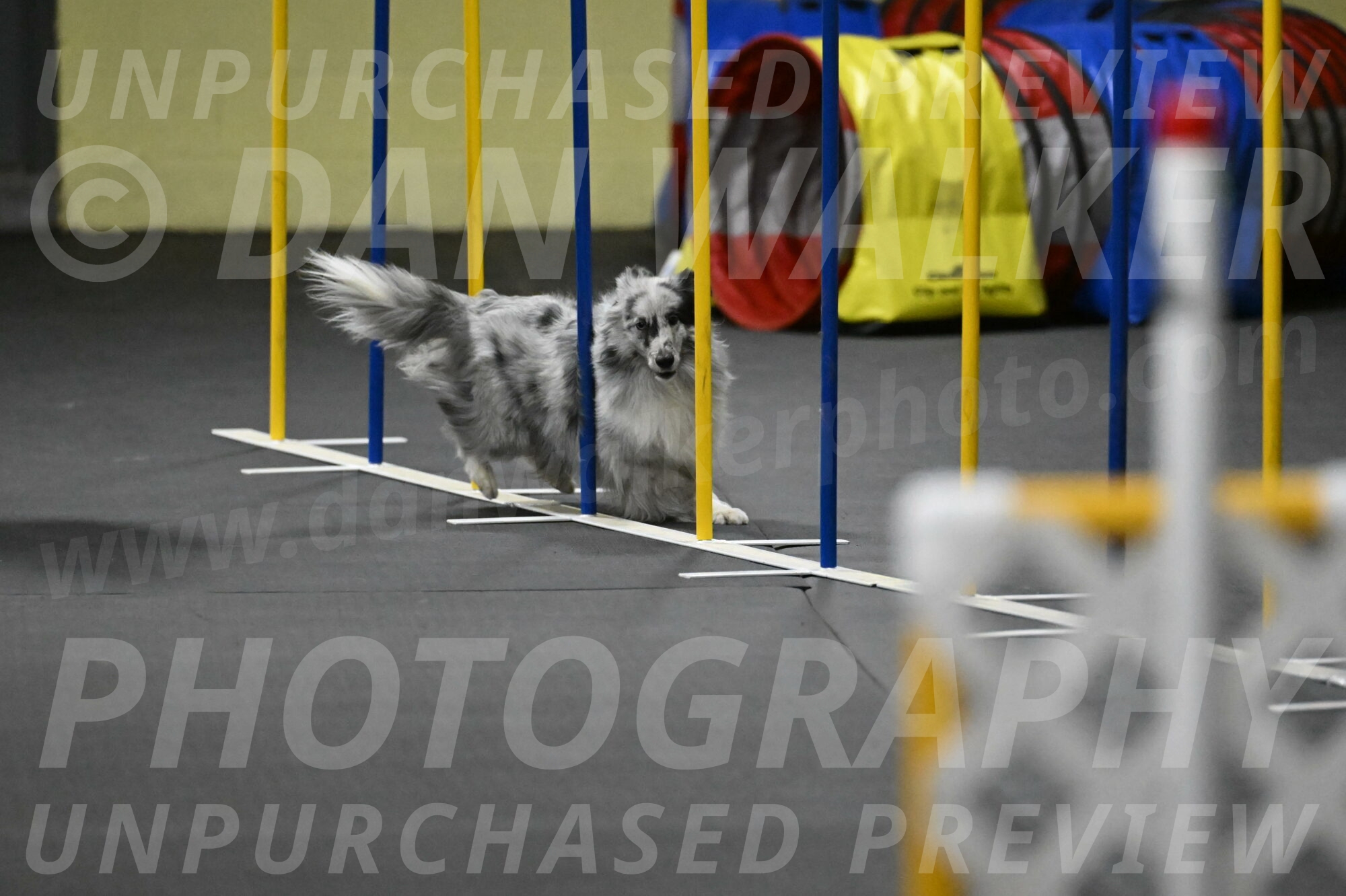 Dulci-Weinrich-08438