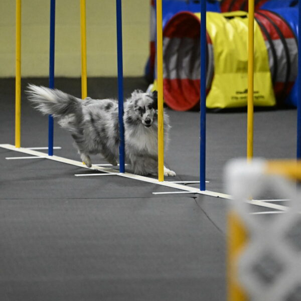 Dulci-Weinrich-08438