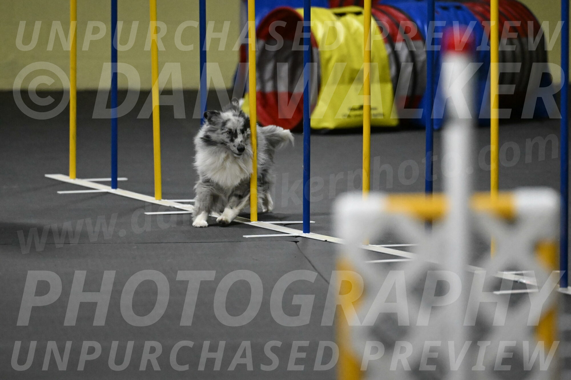 Dulci-Weinrich-08440