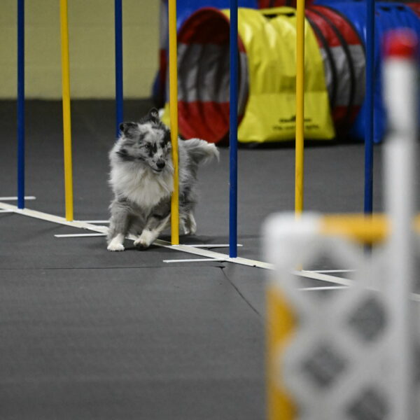 Dulci-Weinrich-08440