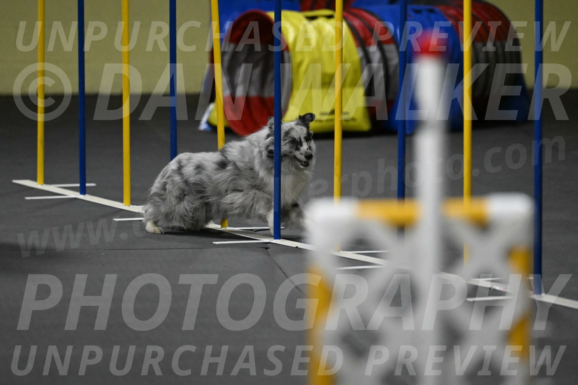 Dulci-Weinrich-08442