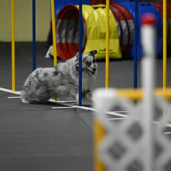 Dulci-Weinrich-08442