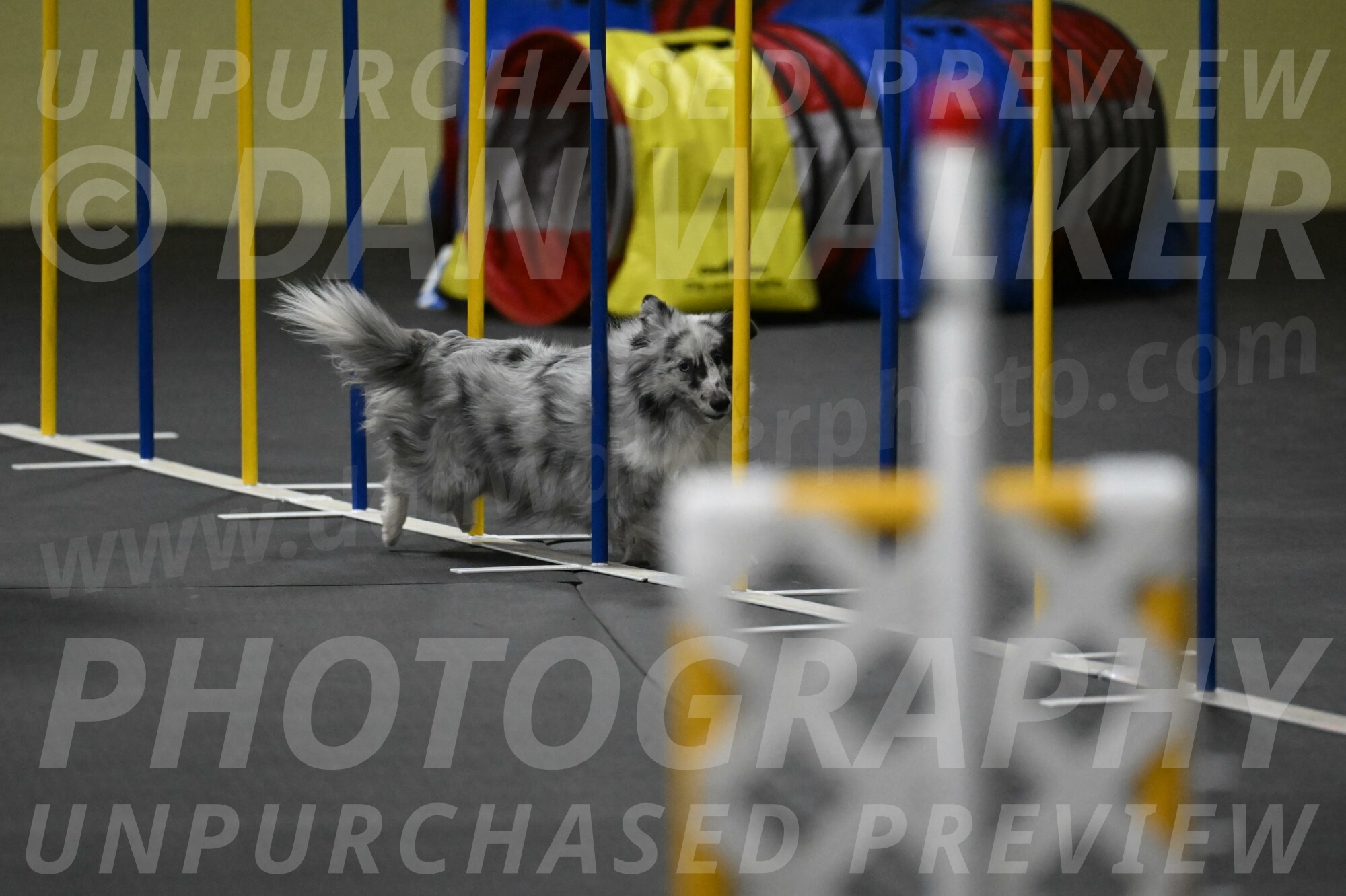 Dulci-Weinrich-08443