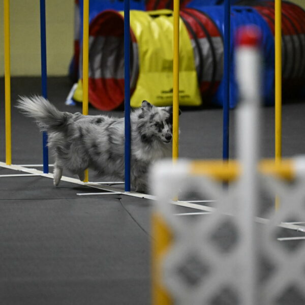 Dulci-Weinrich-08443