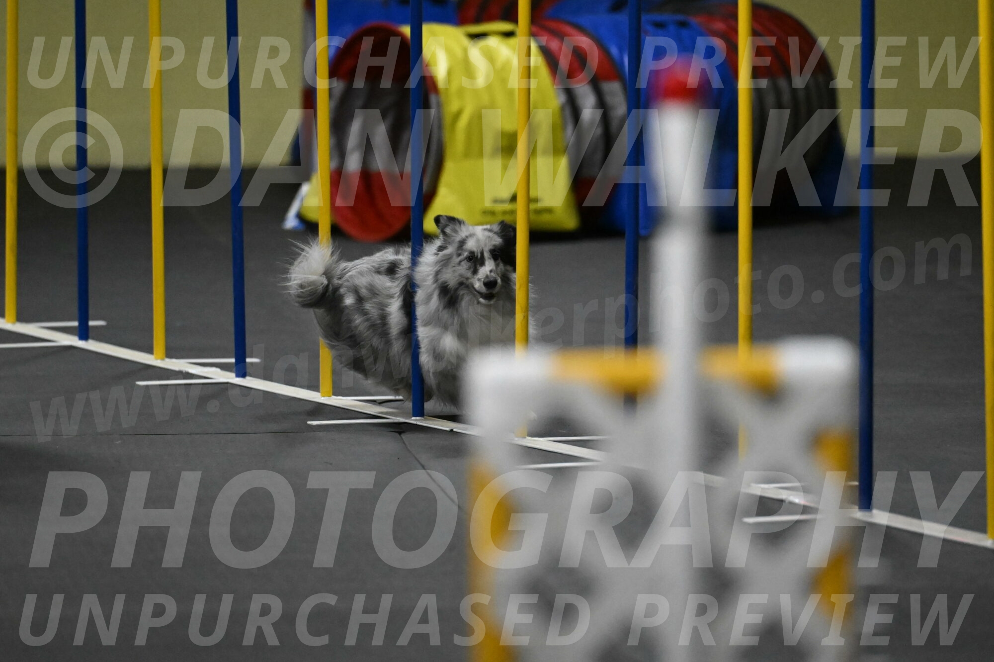 Dulci-Weinrich-08444