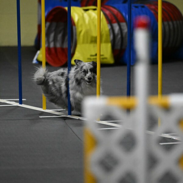 Dulci-Weinrich-08444