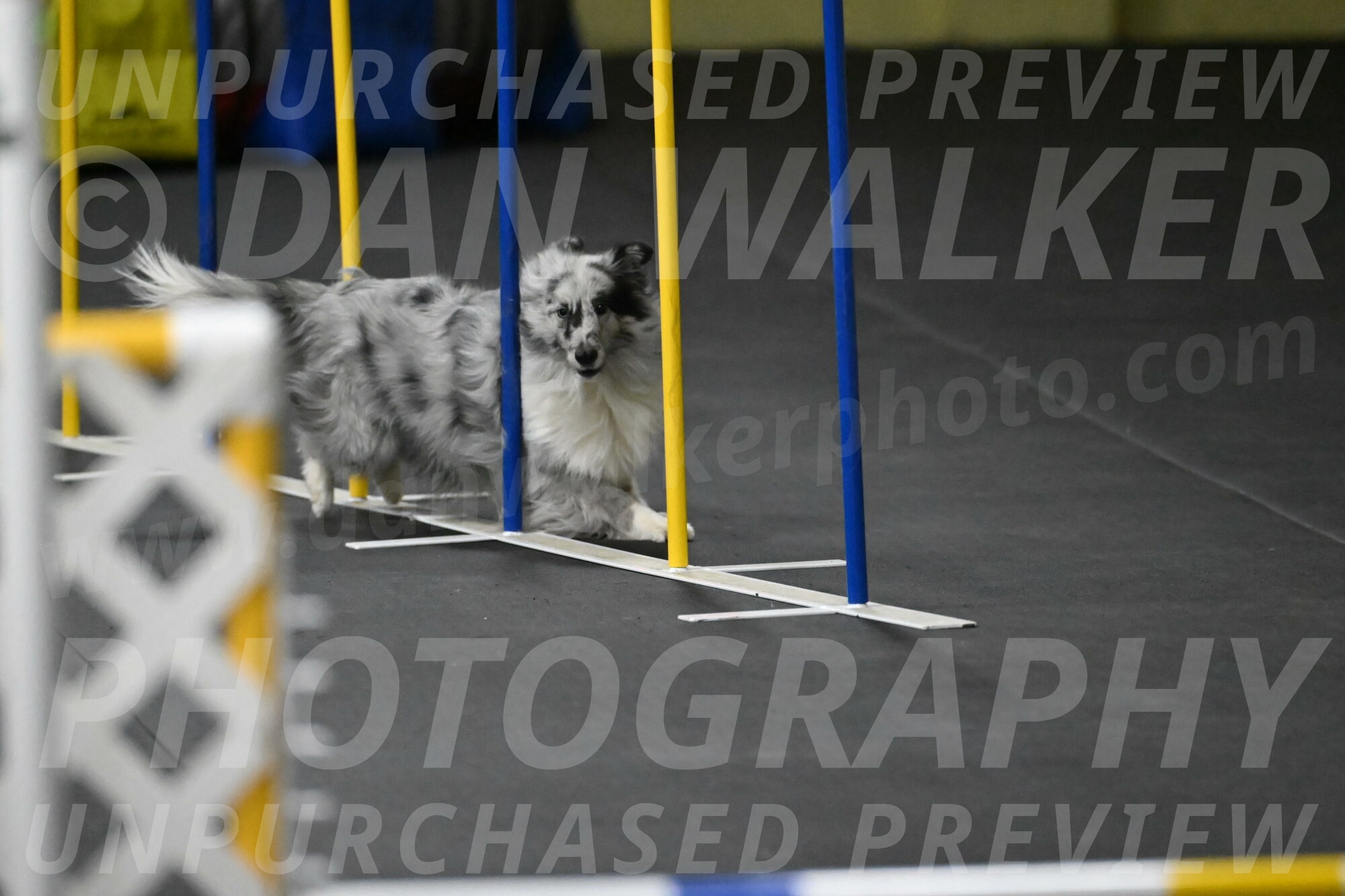 Dulci-Weinrich-08447