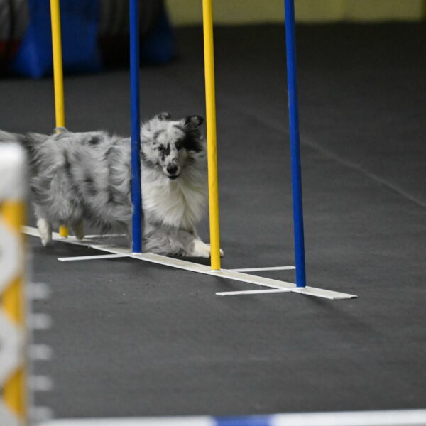 Dulci-Weinrich-08447