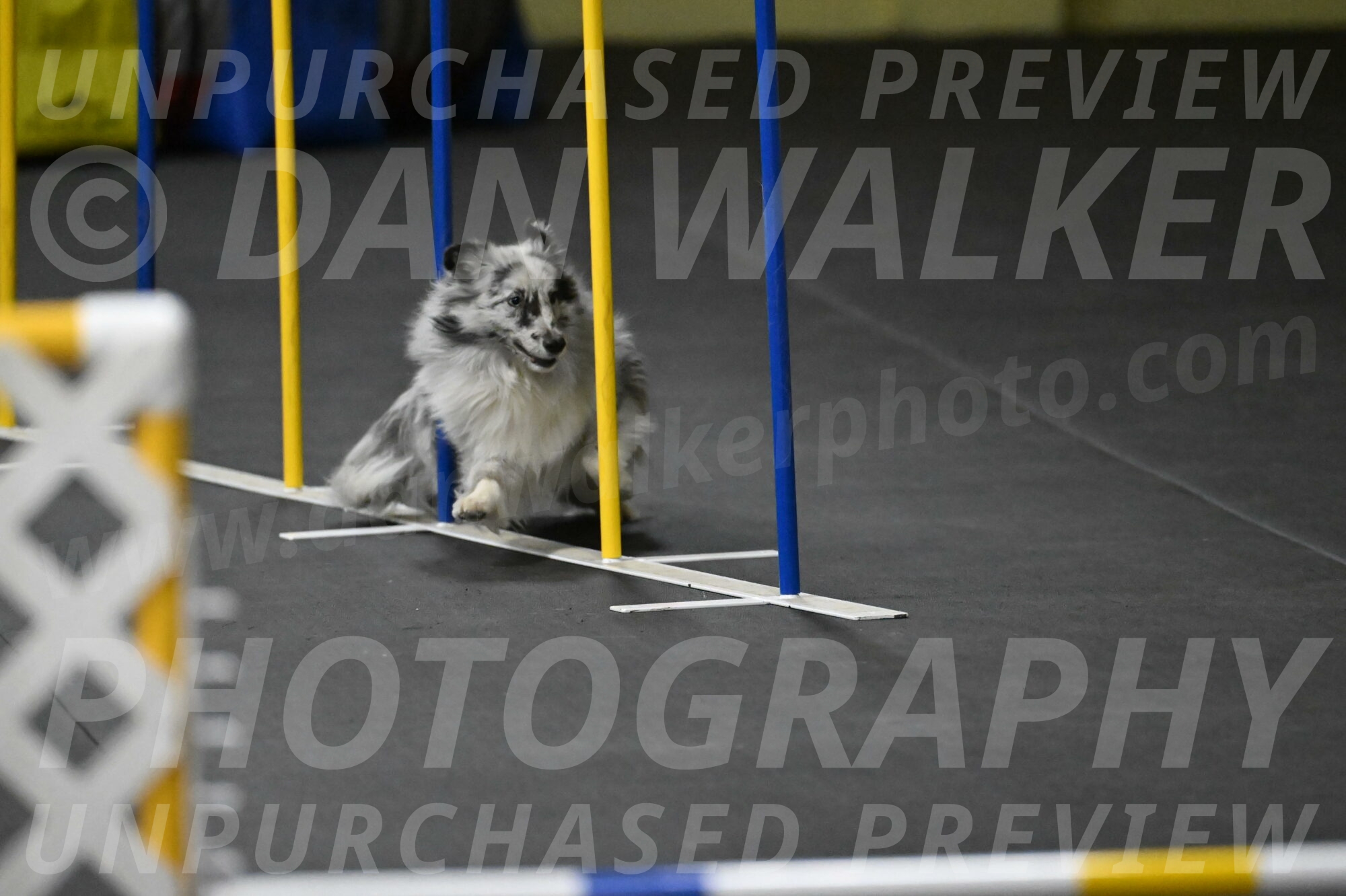 Dulci-Weinrich-08448