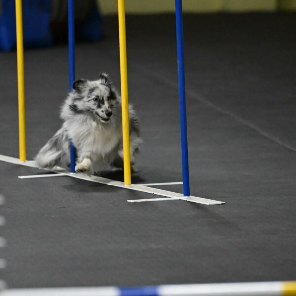 Dulci-Weinrich-08448