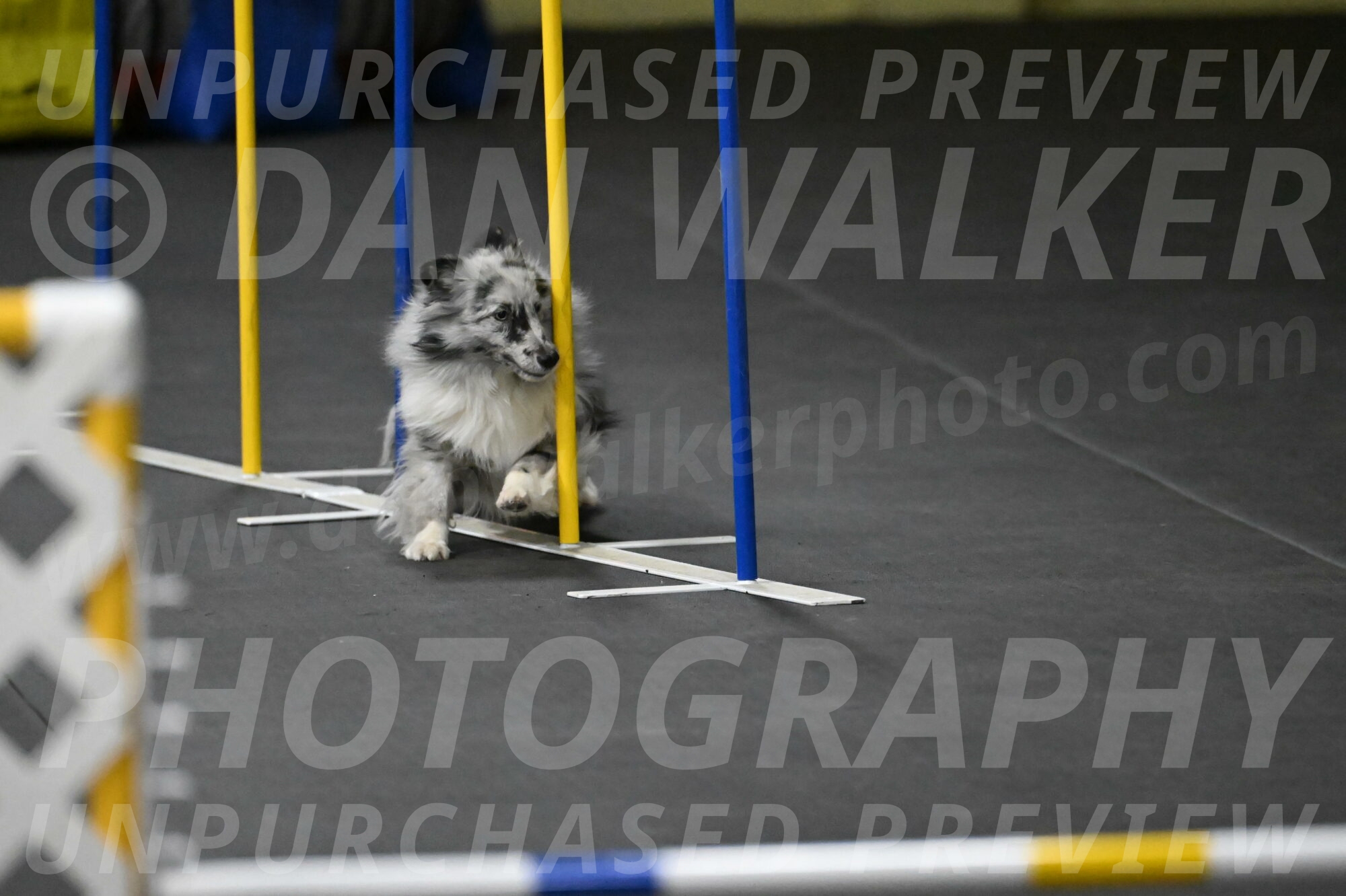 Dulci-Weinrich-08449