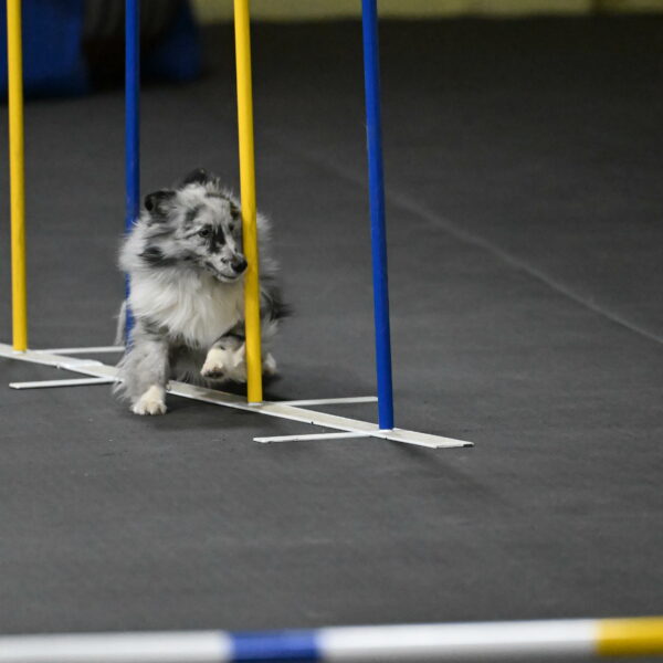 Dulci-Weinrich-08449