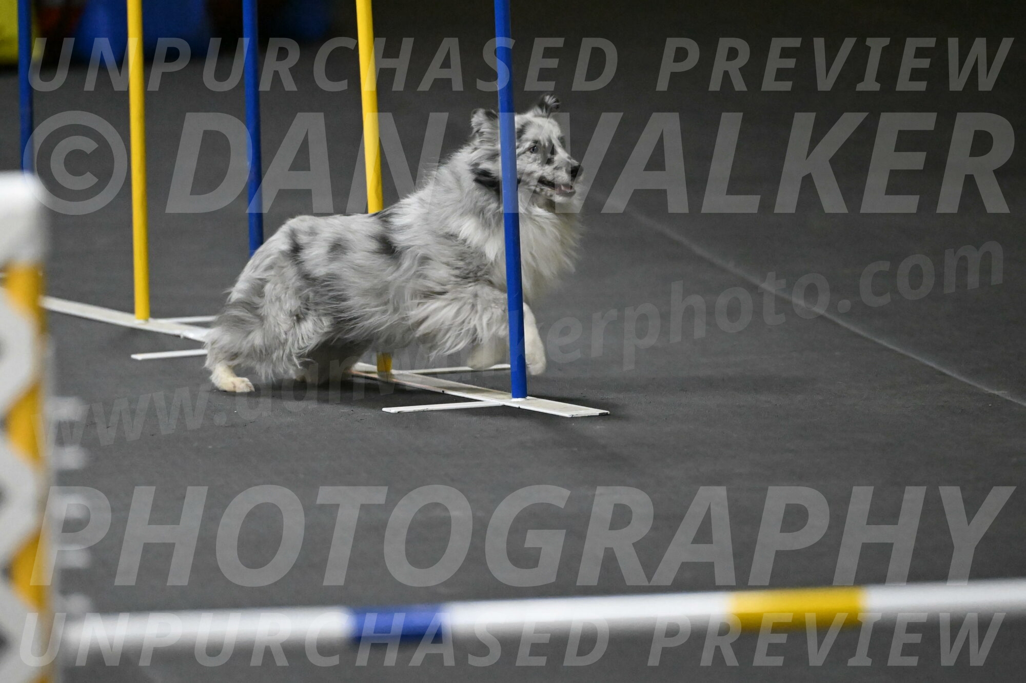 Dulci-Weinrich-08452