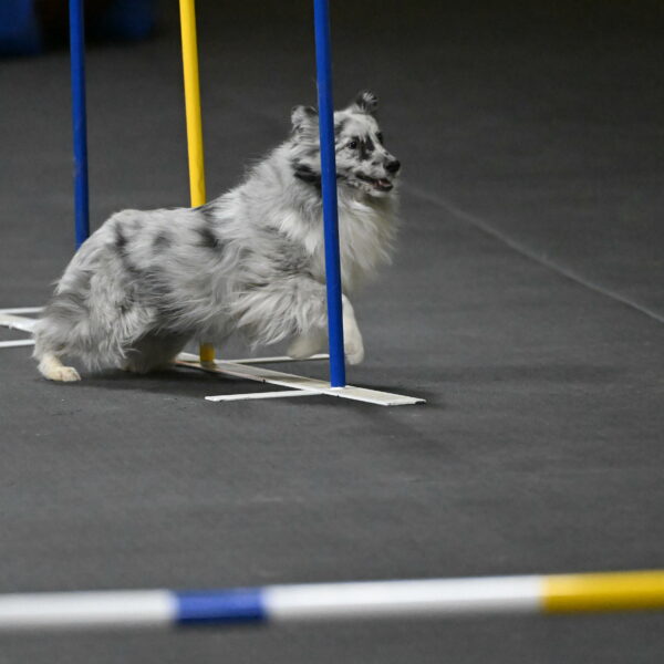 Dulci-Weinrich-08452