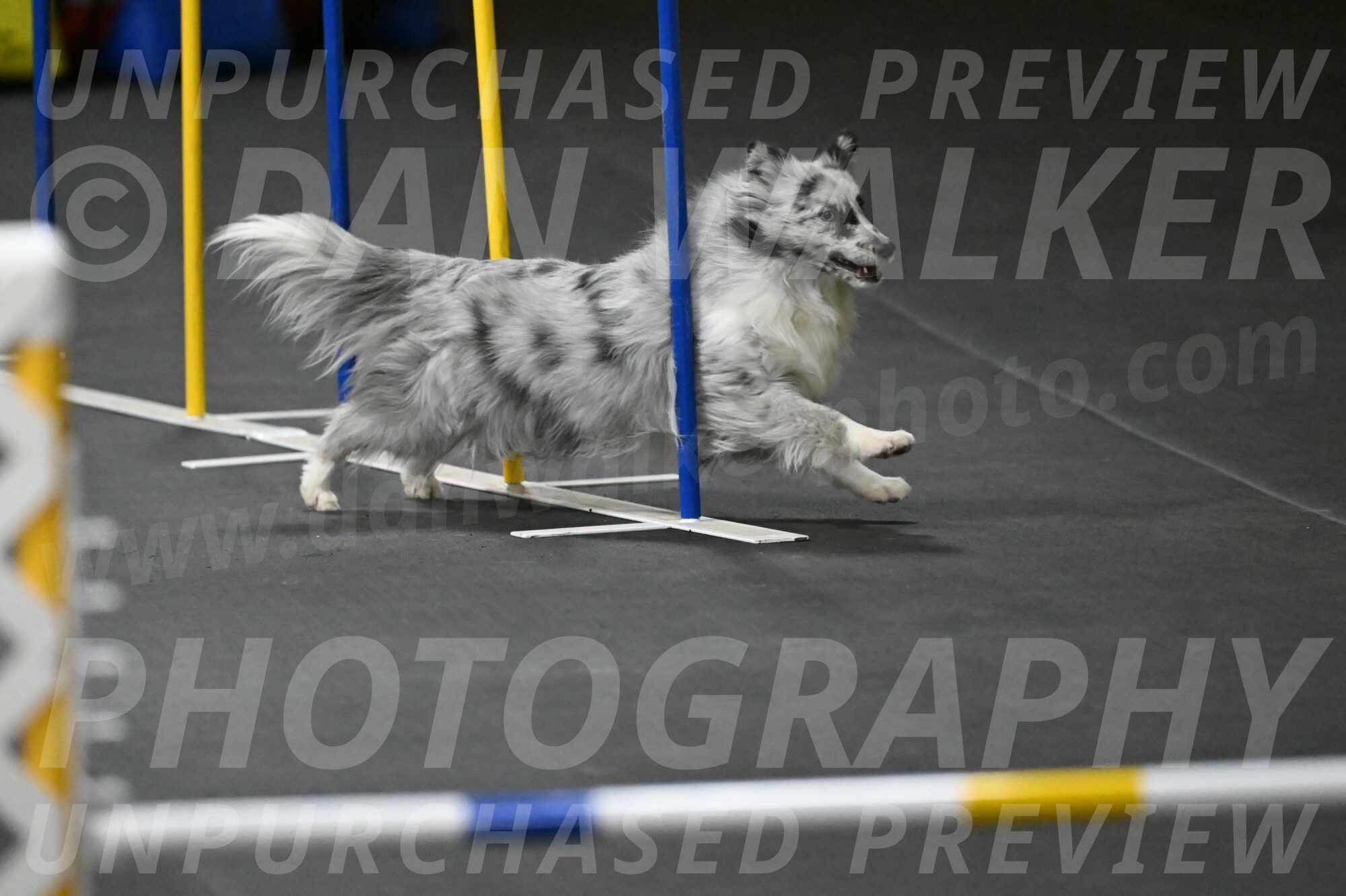 Dulci-Weinrich-08453