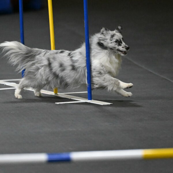 Dulci-Weinrich-08453