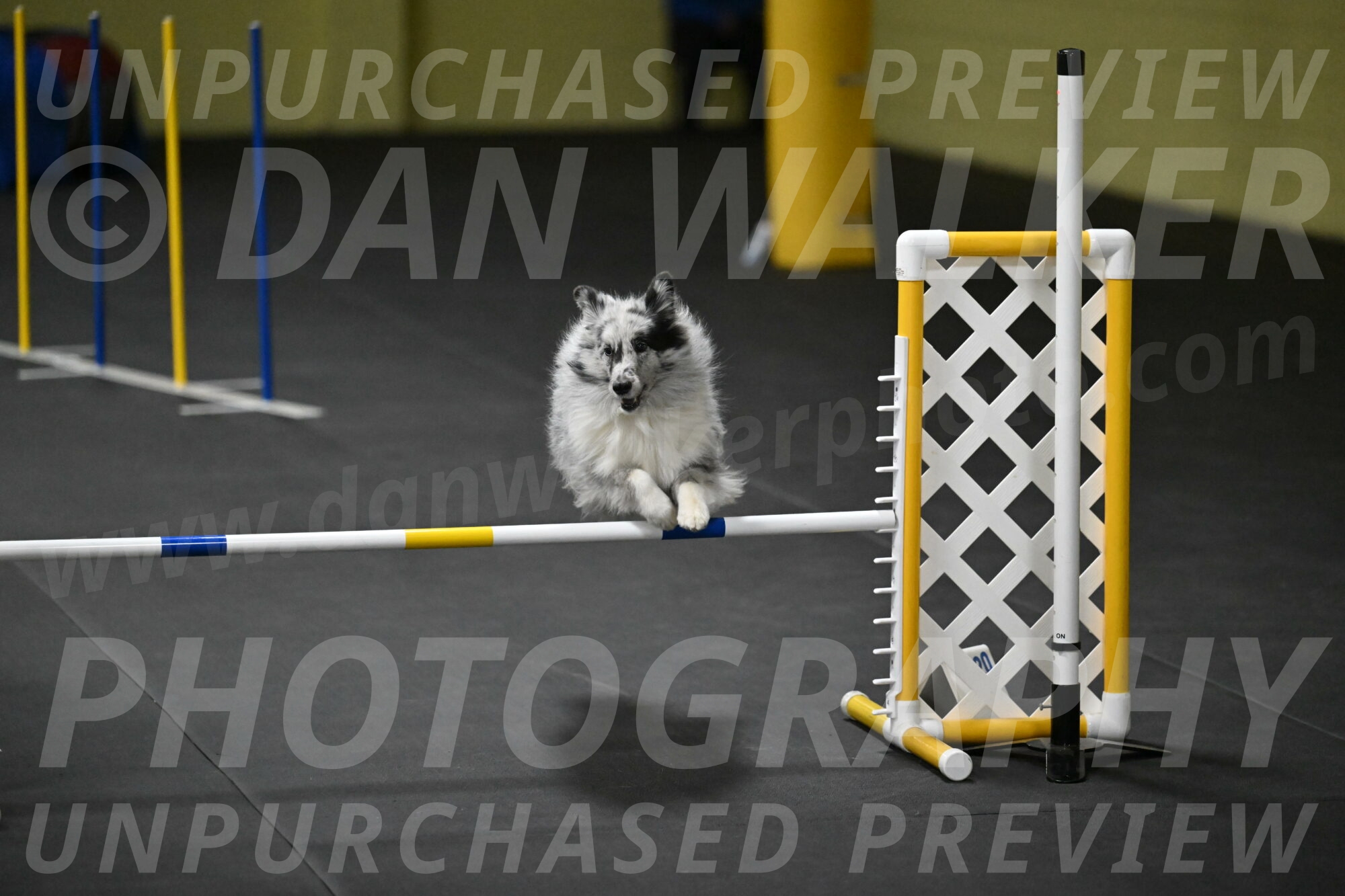 Dulci-Weinrich-08455