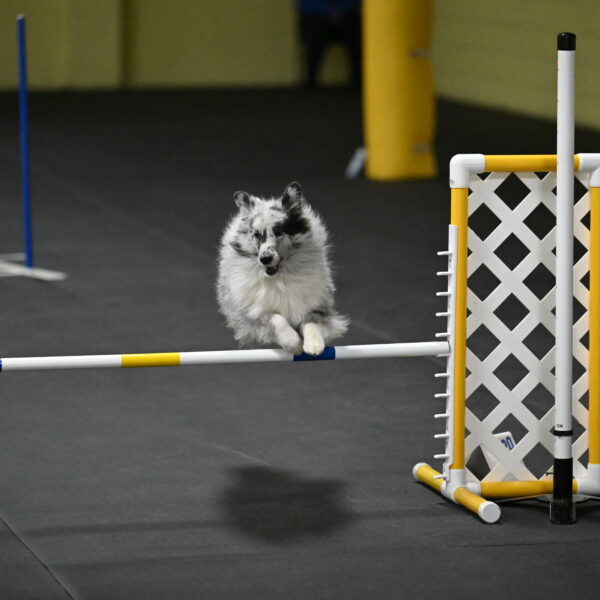 Dulci-Weinrich-08455