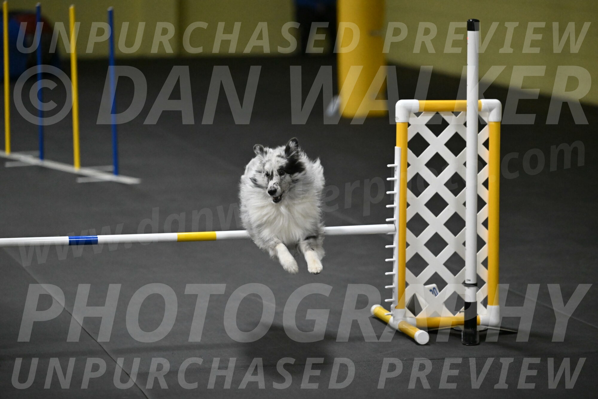 Dulci-Weinrich-08456