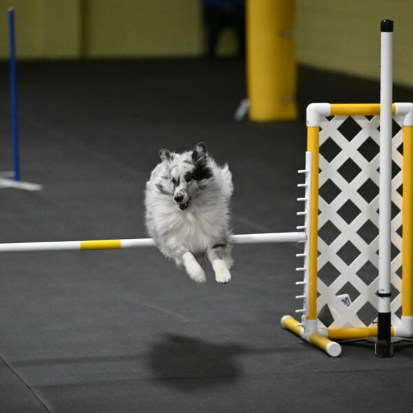 Dulci-Weinrich-08456