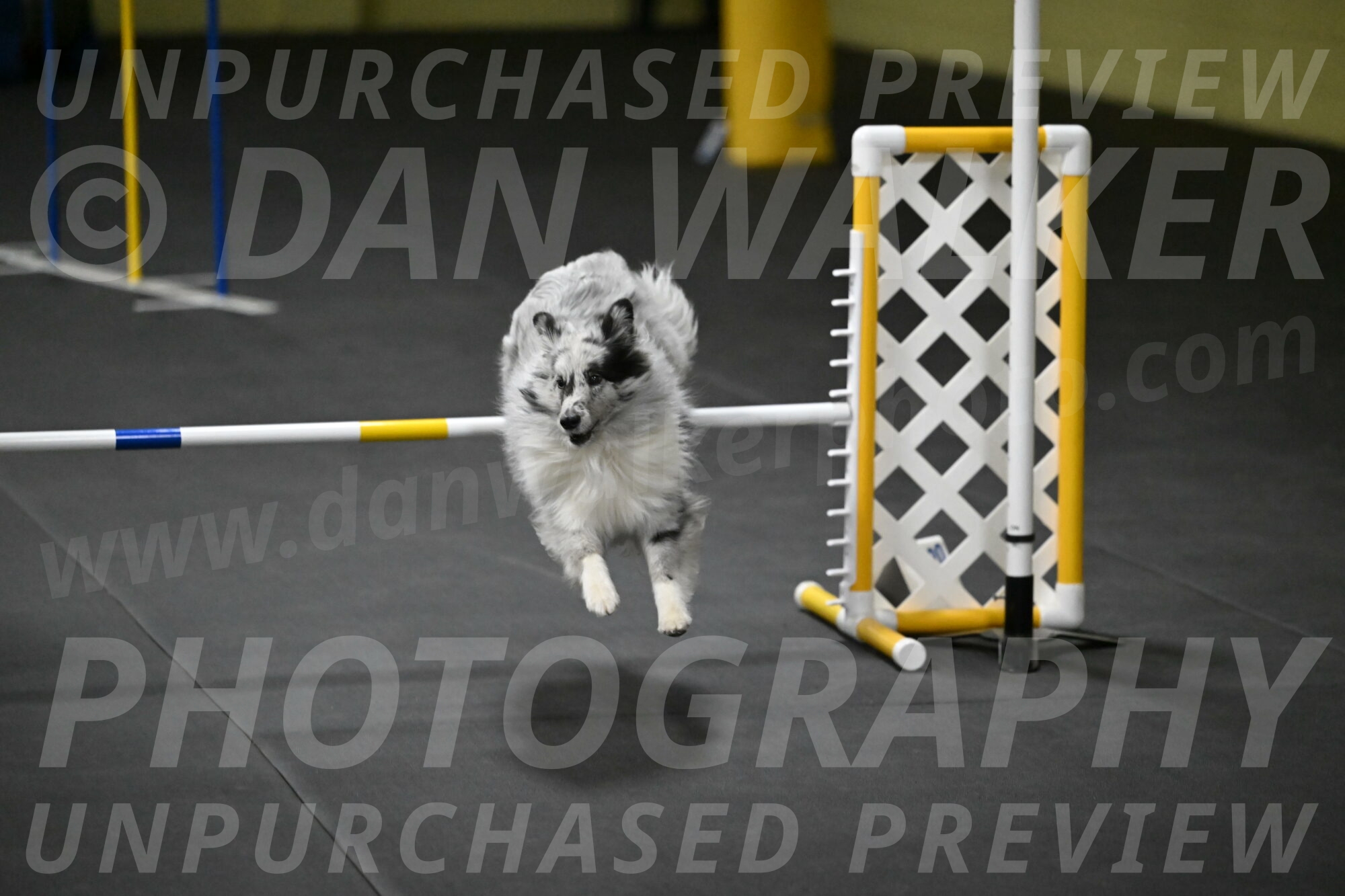 Dulci-Weinrich-08457