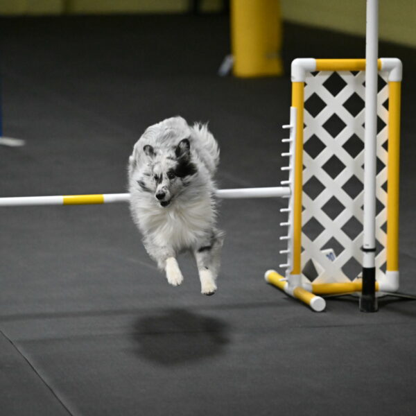 Dulci-Weinrich-08457