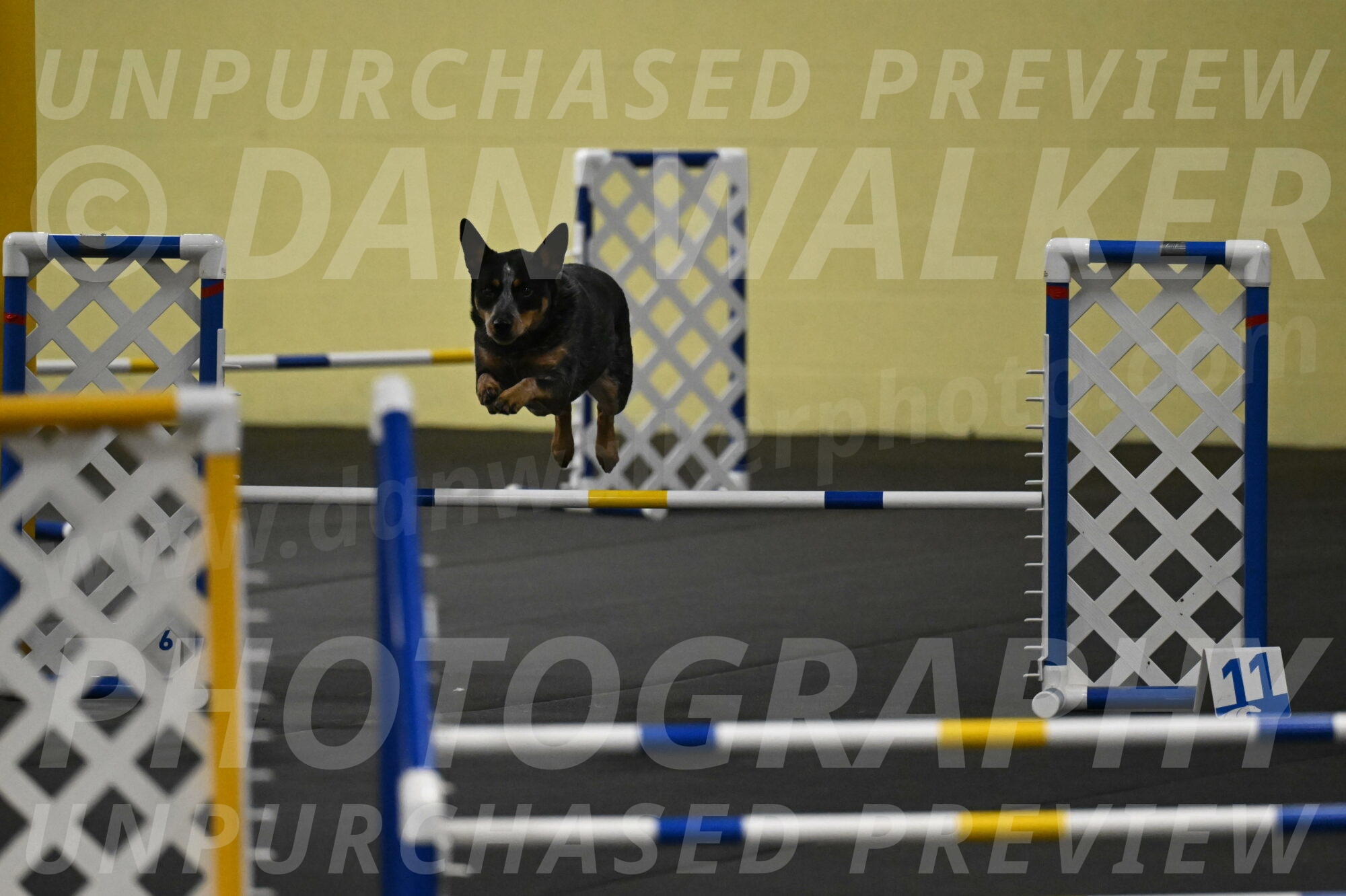 Ellie-Tirpak-Chylik-11050