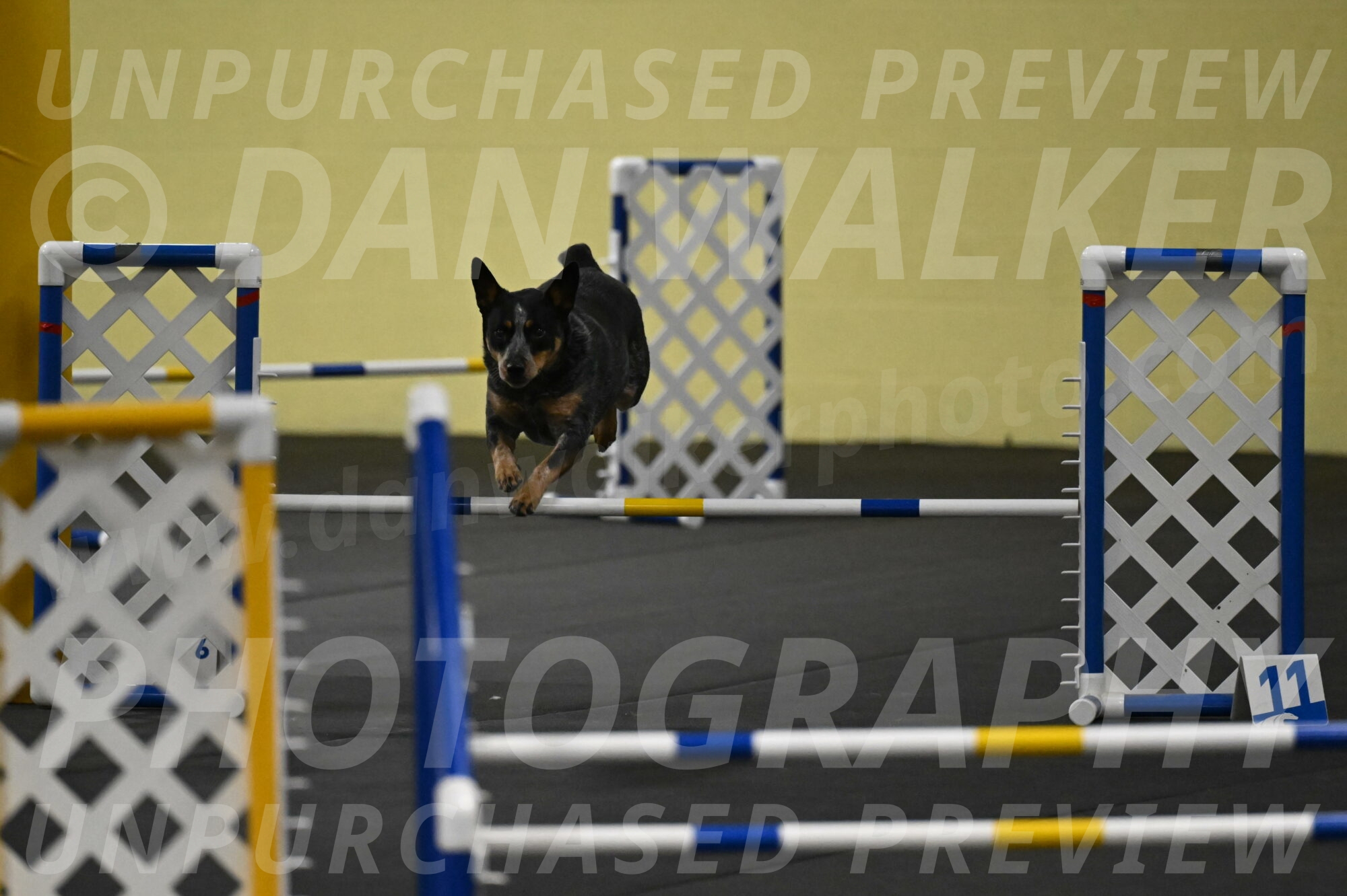 Ellie-Tirpak-Chylik-11051