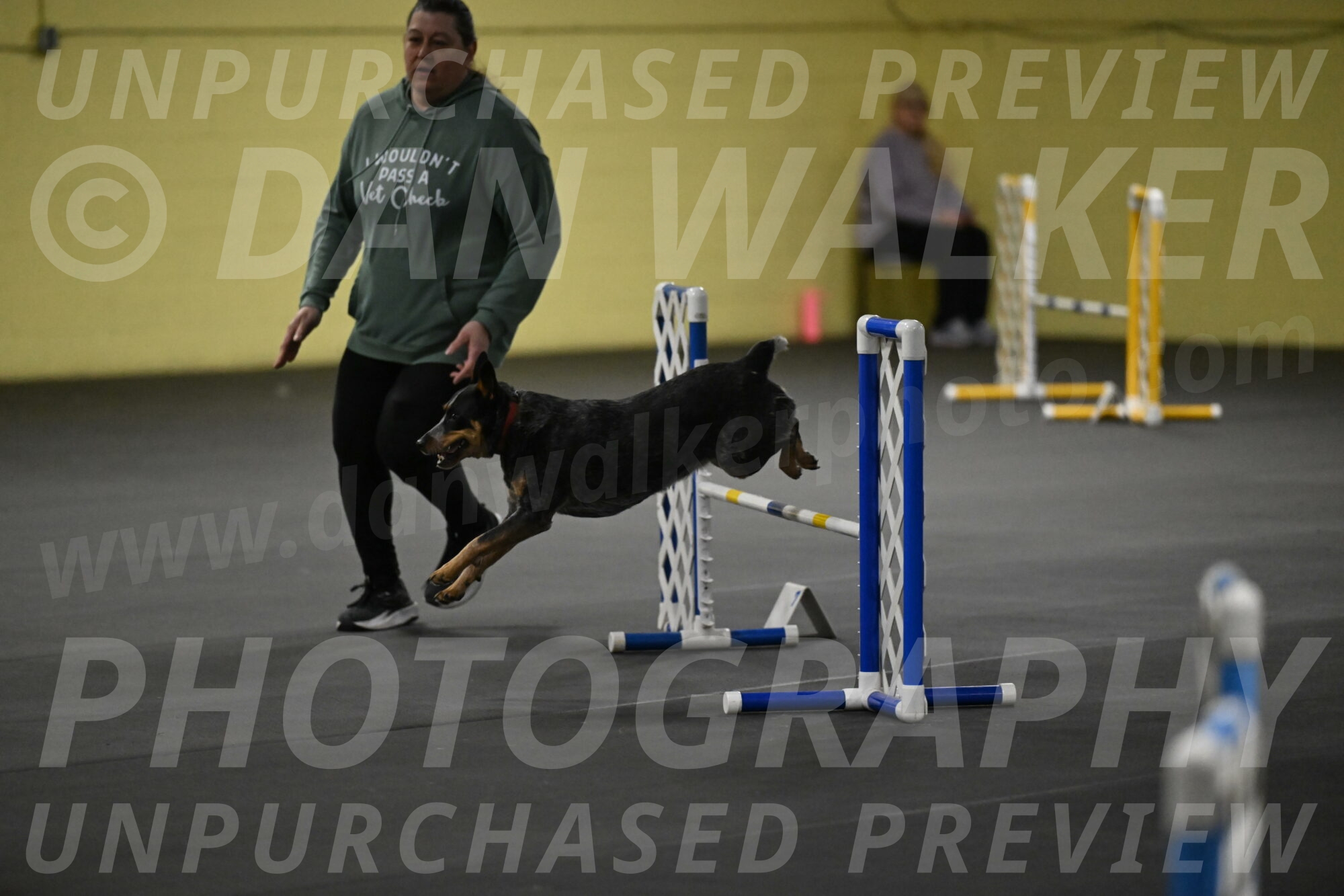 Ellie-Tirpak-Chylik-11056