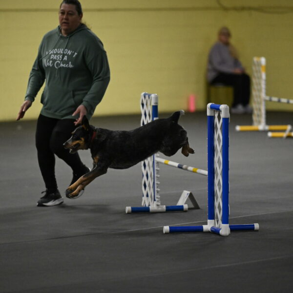 Ellie-Tirpak-Chylik-11056