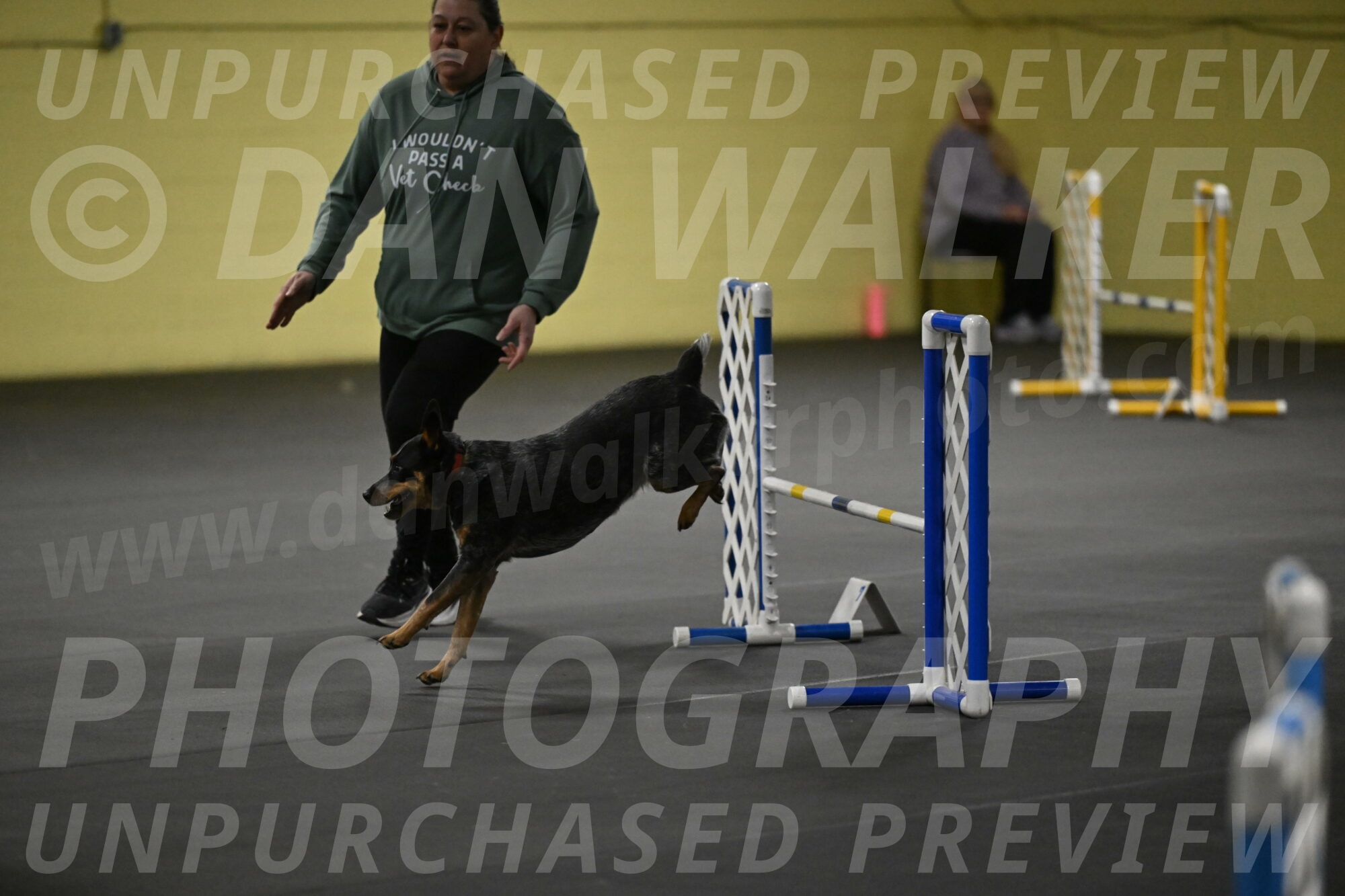 Ellie-Tirpak-Chylik-11057