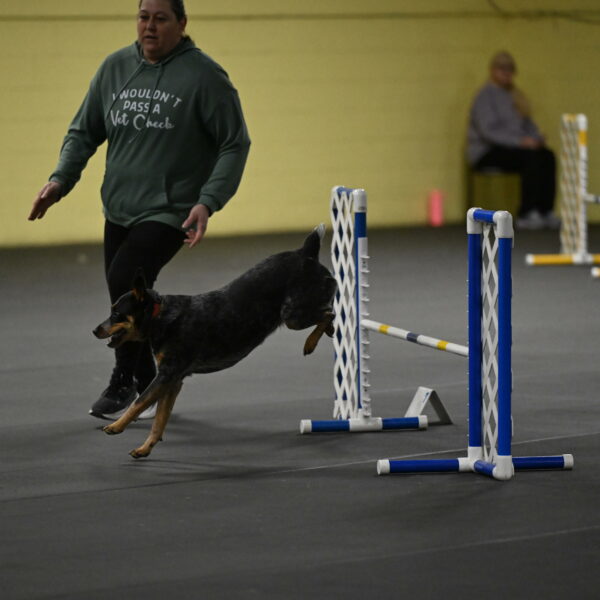 Ellie-Tirpak-Chylik-11057